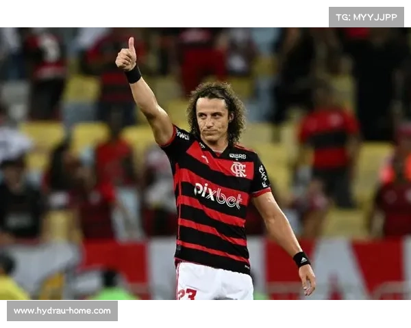 大卫路易斯足球生涯全面解读及其踢球位置分析